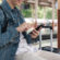 Comparing Prepaid and Postpaid Plans for International Travel