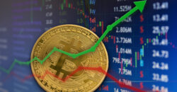 Will Bitcoin Crash Again? Investors Share Their Predictions