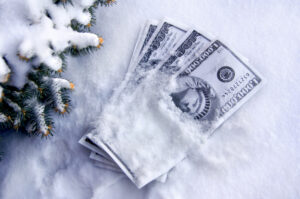 5 Nature-Inspired Money Lessons to Survive a Financial Winter